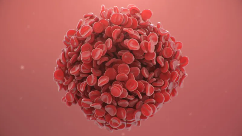 red blood cells background, blood clot scientific and medical microbiological concept enrichment with oxygen and important nutrients transfer of important elements in the blood