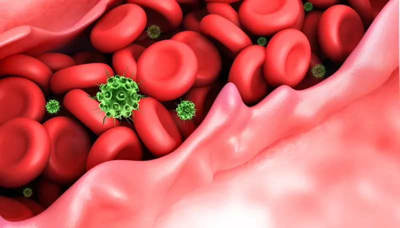 virus infecting the blood cells in veinblood stream 3d illustration
