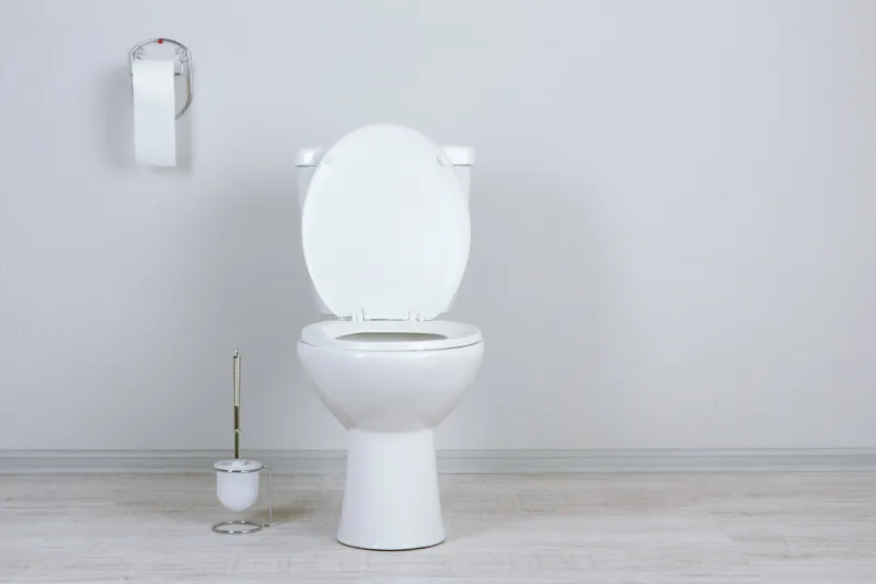 white toilet bowl in a bathroom