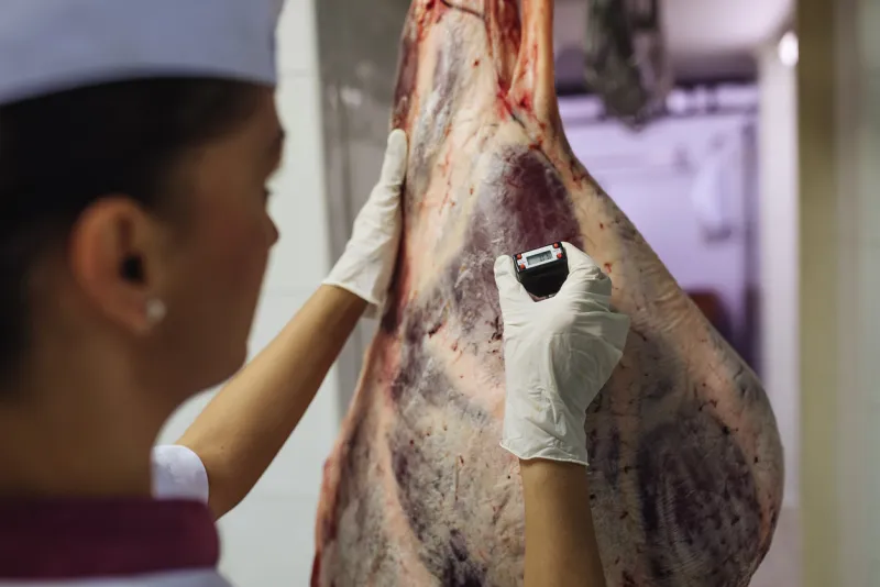 meat quality control in butchery