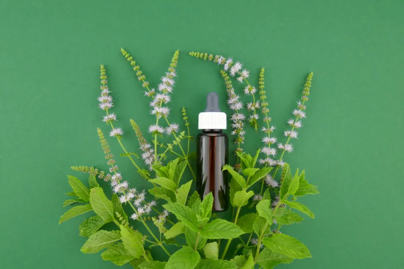 peppermint oil pure peppermint essential oil in a glass brown bottle with a pipette and blooming sprigs of mint on a dark green backgroundorganic pure natural oils