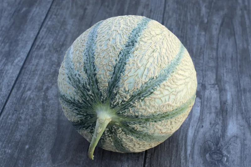 ripe and fresh melon on a wooden table