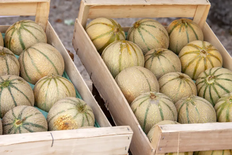 prise de vue au 18 135, 200 iso, f 8, 1 160 seconde