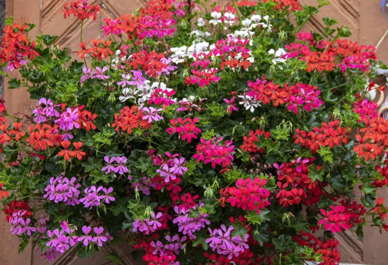 prise de vue au zoom 18 135, 200 iso, f 5, 1 160 second