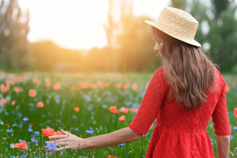 lovely young romantic woman in straw hat walking on poppy flower field and takes poppies soft summer sunset colors