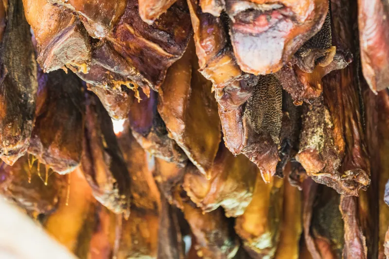 specialty of iceland called hakarl fermented shark in open warehouse