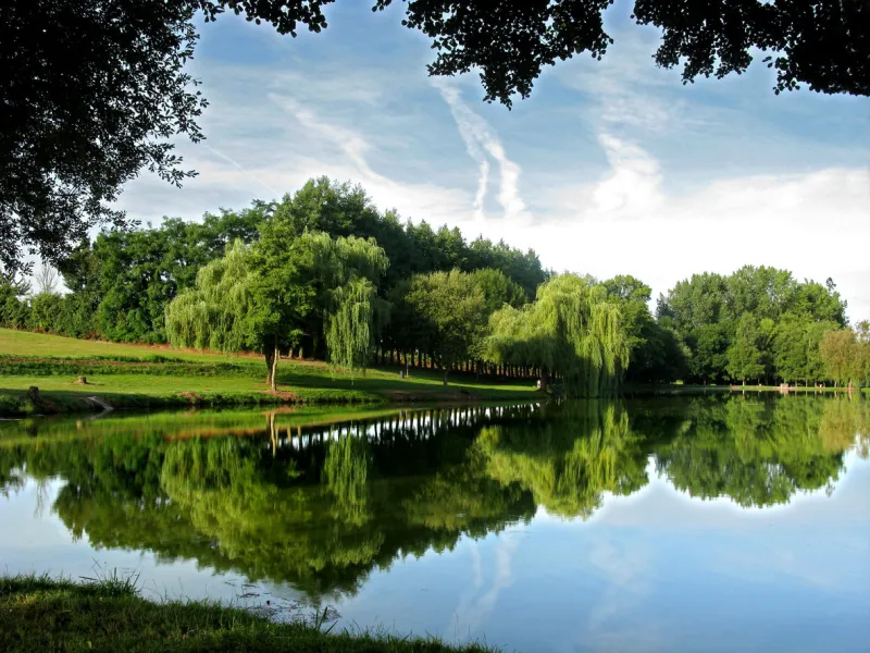 pond and trees with reflections at conlie in the sarthe in france