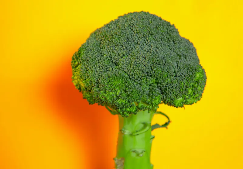 fresh green broccoli on a yellow background