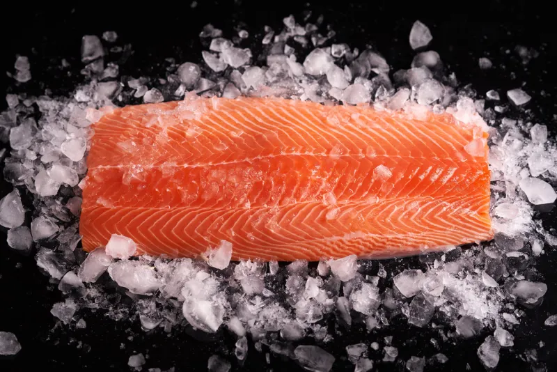 raw whole salmon fillet sprinkled with crushed ice on a dark background dietary nutrition healthy food diet food top view