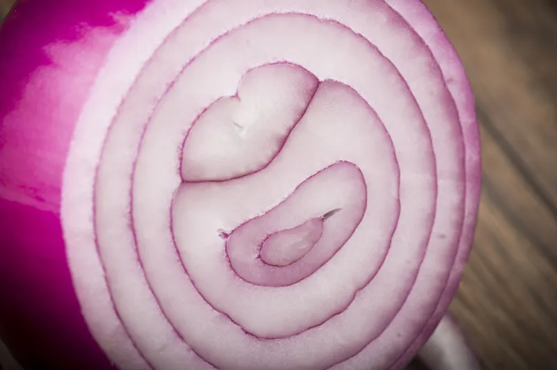 red onion rings close up on the table
