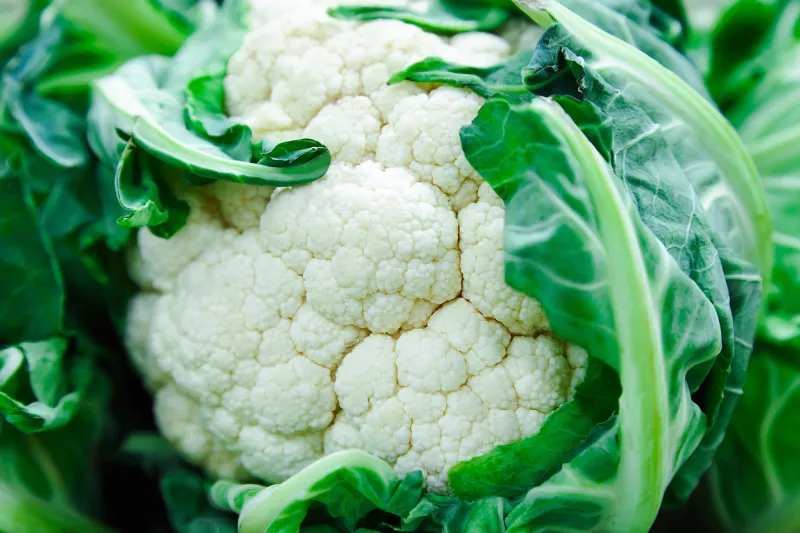 fresh raw cauliflower