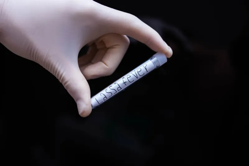 test lassa fever in vitro in a laboratory