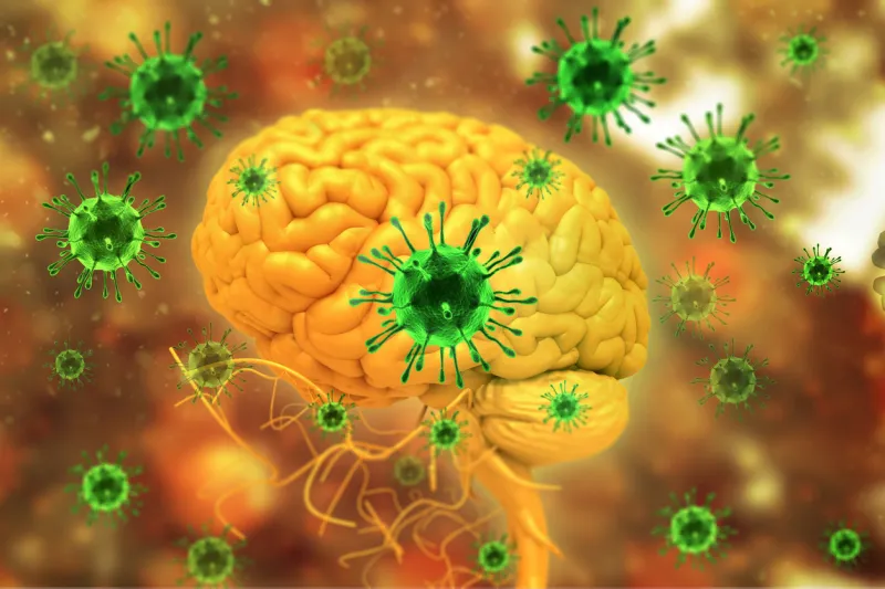 virus infection on brain 3d illustration