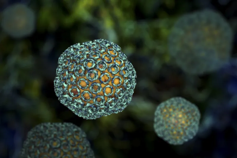 rift valley fever virus, 3d illustration an rna virus of bunyaviridae family, transmitted from infected animals by mosquito bite and by air, the causative agent of rift valley fever in humans