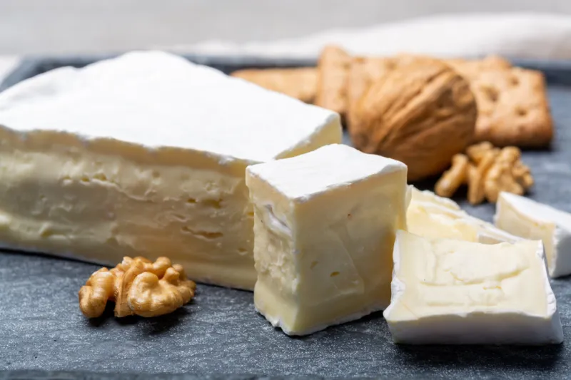 cheese collection, piece of french brie cheese with white mold close up