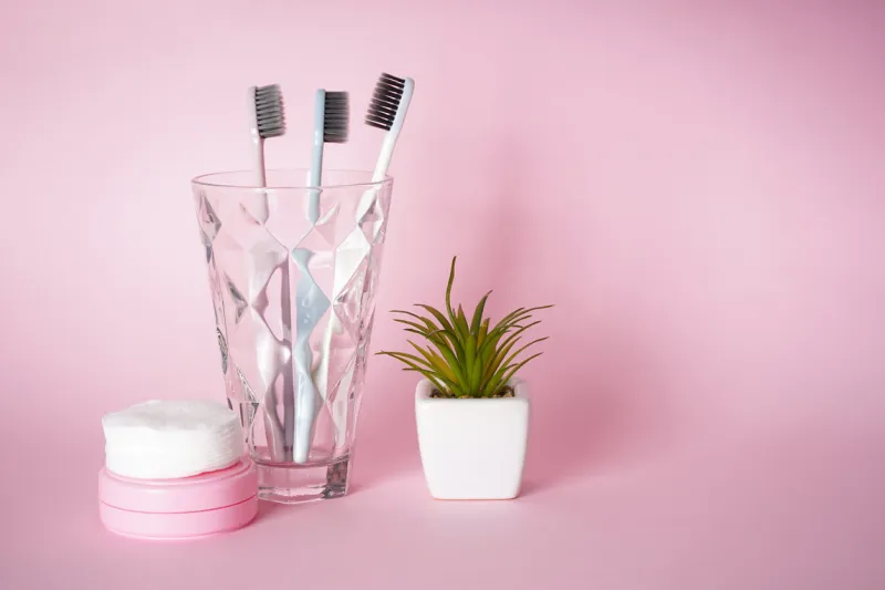 toothbrushes in a glass on a pink background with green succulents with space for text dental and healthcare concept