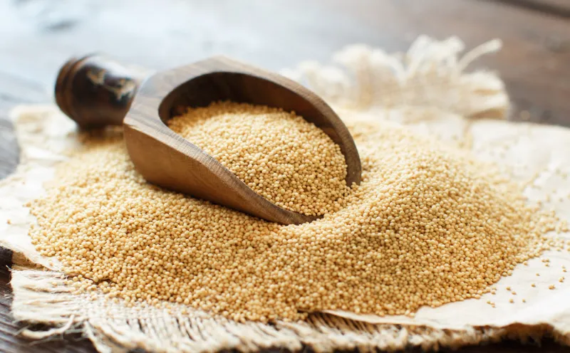 raw organic amaranth grainwith a spoon on a wooden table