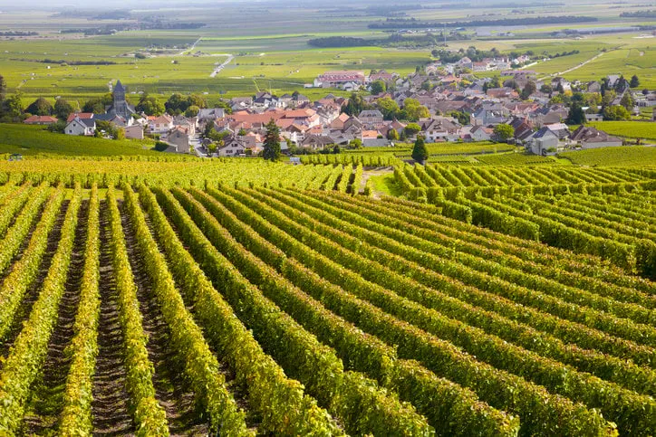 burgundy is a historical region in east-central france it's famous for its burgundy wines as well as pinot noirs and chardonnay, chablis and beaujolais