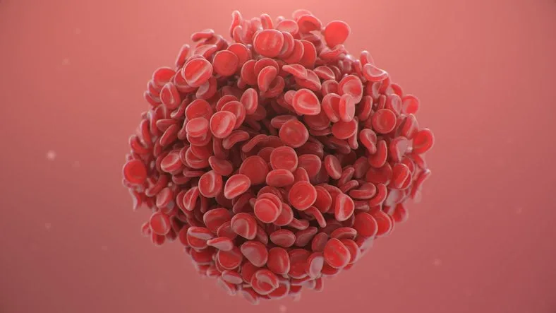 red blood cells background, blood clot scientific and medical microbiological concept enrichment with oxygen and important nutrients transfer of important elements in the blood