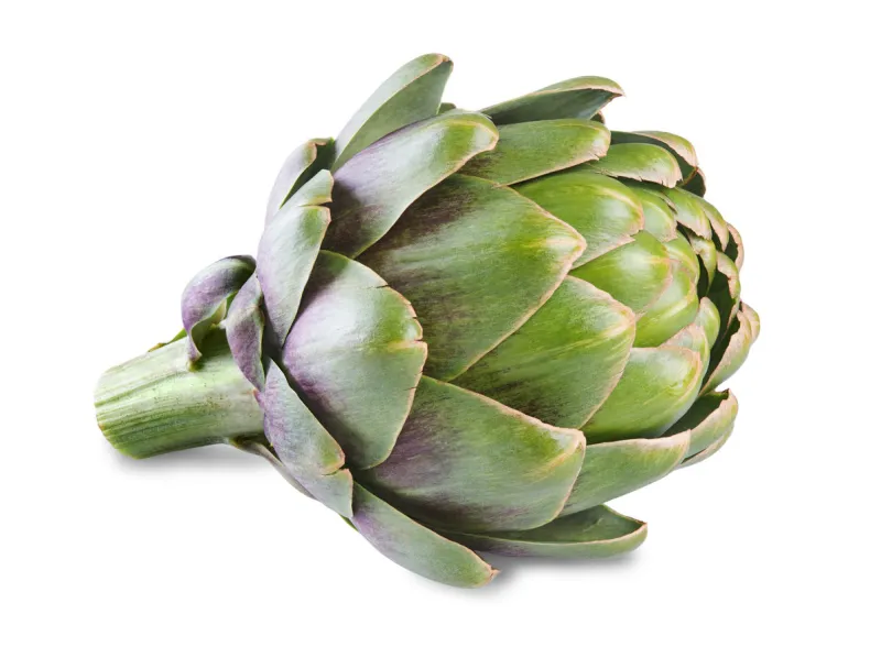 ripe green artichoke isolated on white background