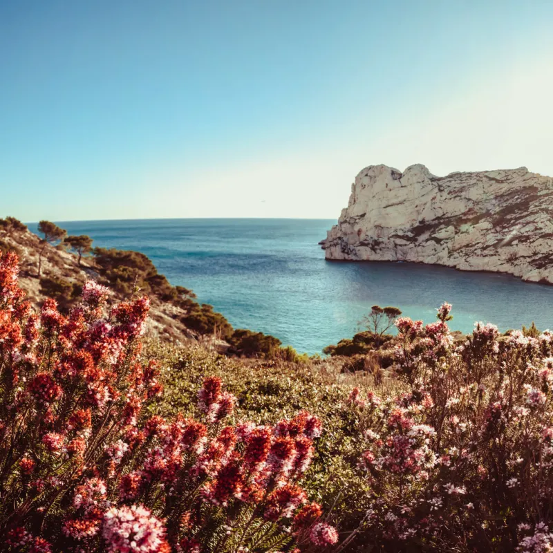 the creeks of marseille near morgiou, calanques, france