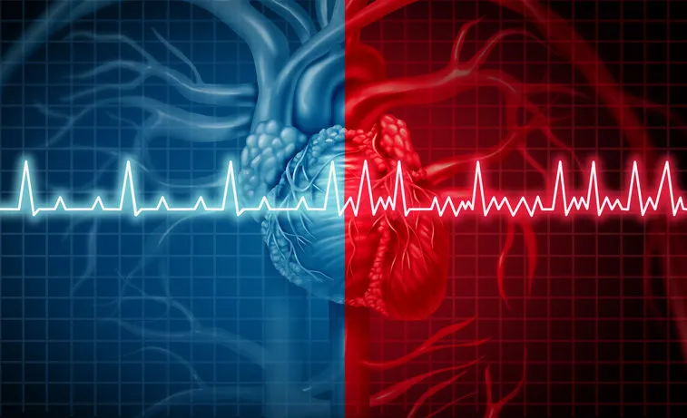 atrial fibrillation and normal or abnormal heart rate rythm concept as a cardiac disorder as a human organ with healthy and unhealthy ecg monitoring in a 3d illustration style