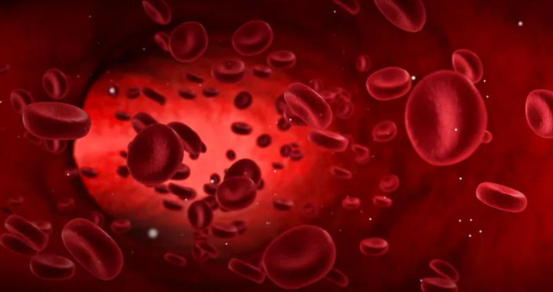 red blood cells in an artery, flow inside body, medical human health-care