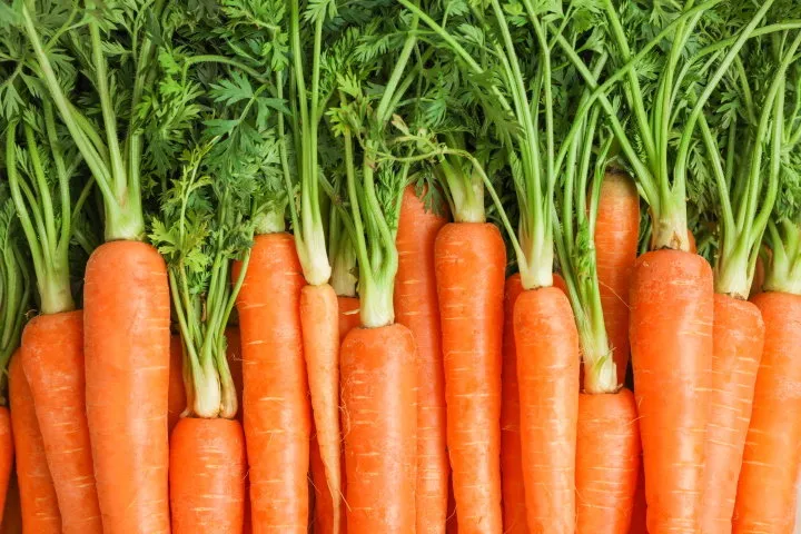ripe fresh carrots as background, space for text