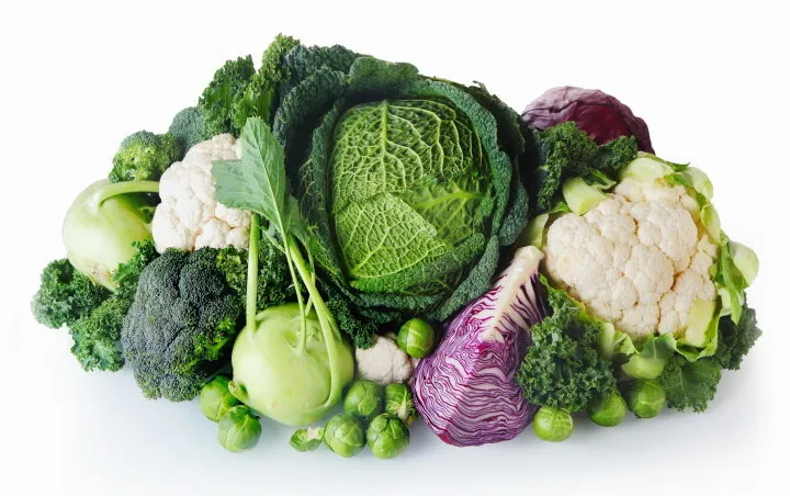 close up healthy fresh farm vegetables isolated on white background emphasizing cabbage, broccoli, cauliflower and brussels sprout