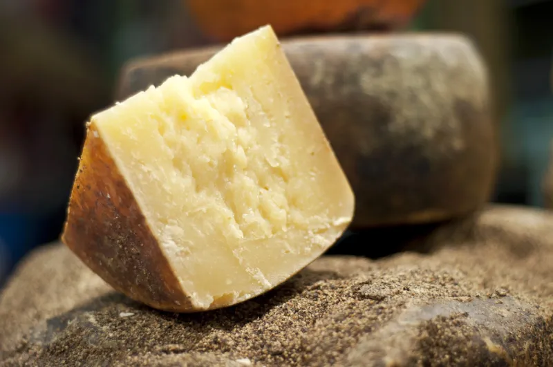 pecorino cheese aged from sardinia