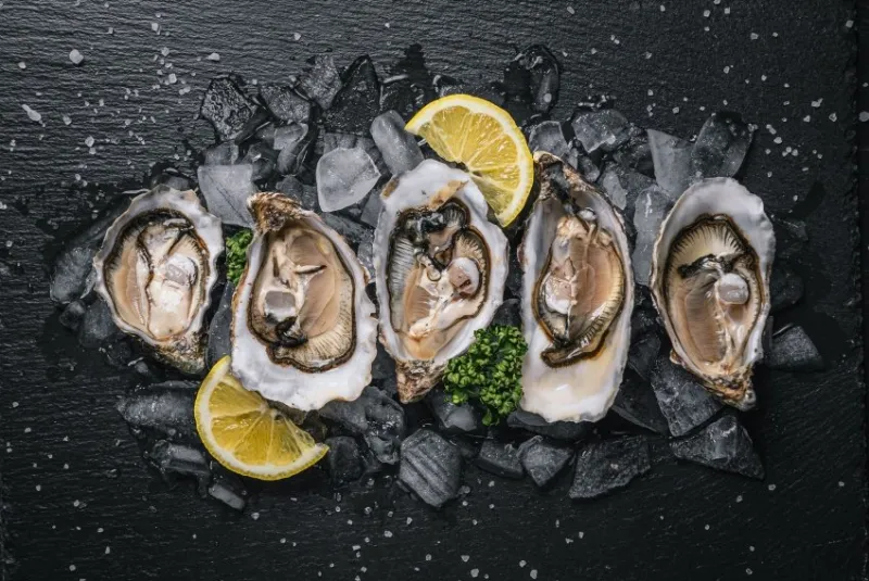 fresh oysters with lemon ice and white wine