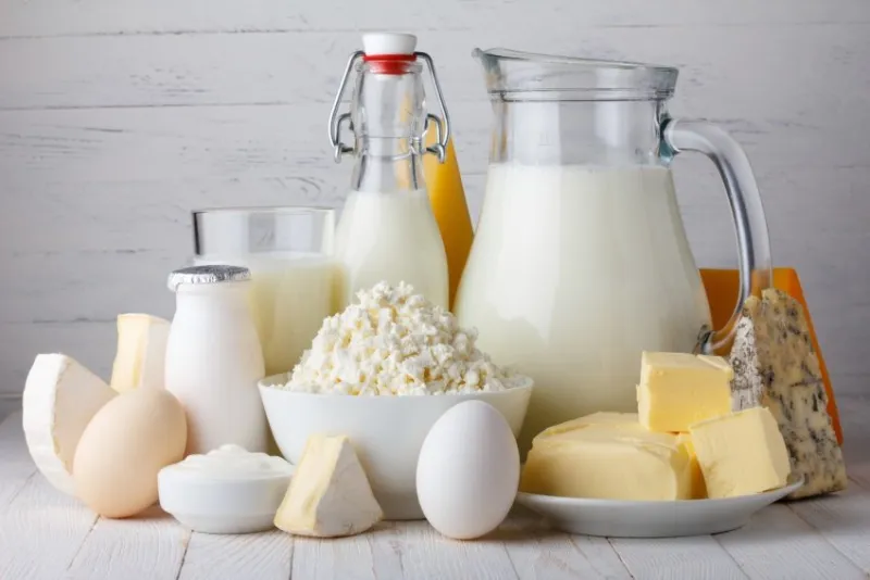 dairy products, milk, cottage cheese, eggs, yogurt, sour cream and butter on wooden table