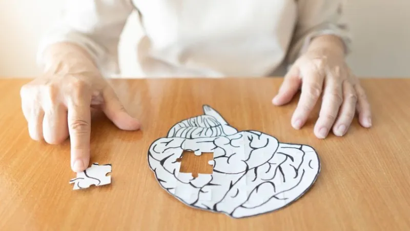 elderly woman hands putting missing white jigsaw puzzle piece down into the place as a human brain shape creative idea for memory loss, dementia, alzheimer's disease and mental health concept