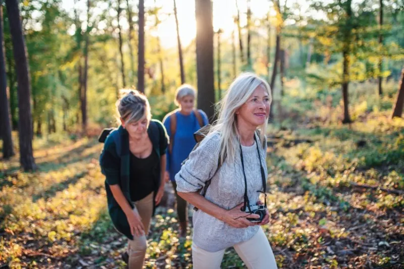 senior women friends on a walk outdoors in forest, walking