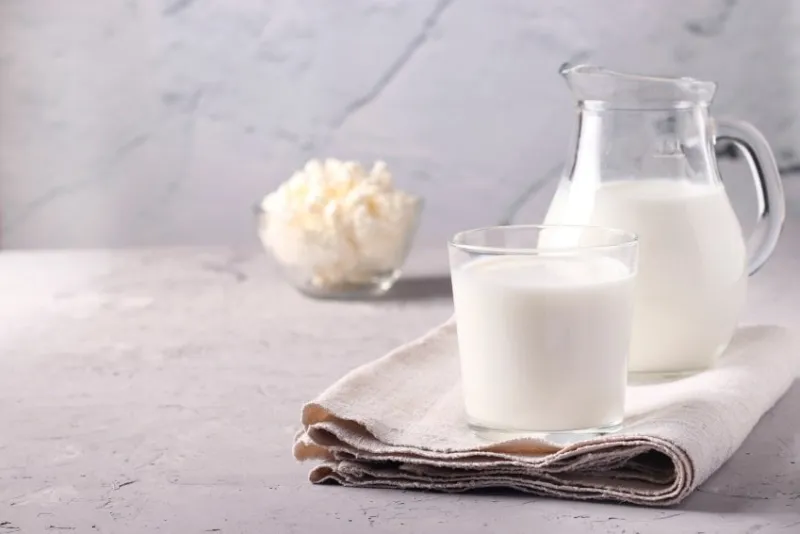 kefir or ayran fermented drink in a glass and jug, as well as cottage cheese in a bowl on light gray background, copy space, closeup