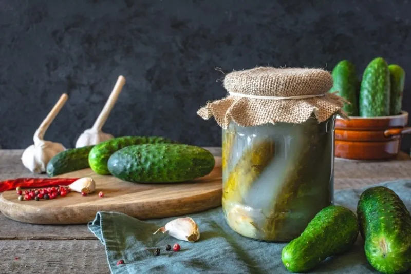 pickled cucumbers with herbs and spices on dark background