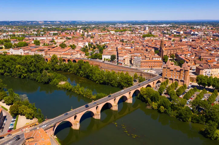 picturesque aerial view of montauban town with tarn river, france