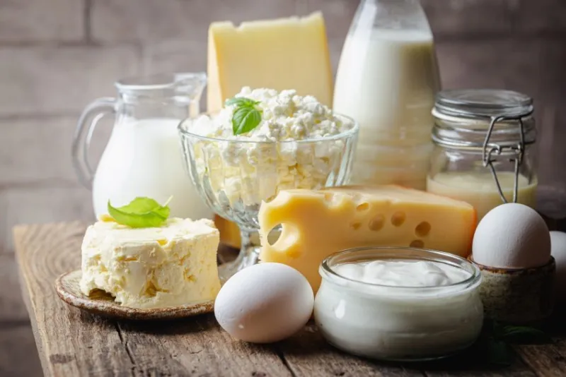 fresh dairy products, milk, cottage cheese, eggs, yogurt, sour cream and butter on wooden table
