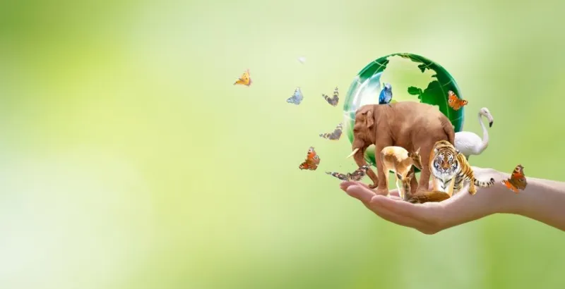 earth day or world wildlife day concept save our planet, protect green nature and endangered species, biological diversity theme group of wild animals and flock of butterflies with globe in hand