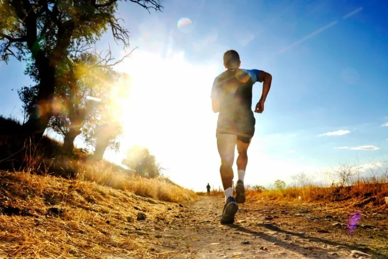 silhouette of young sport man running on countryside in cross country competition at summer sunset with harsh high contrast sunlight effect and flare in healthy lifestyle concept