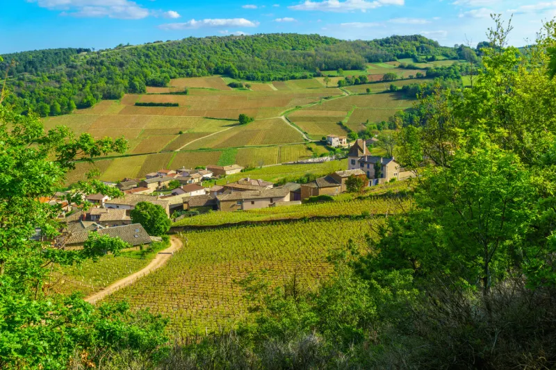 landscape of vineyards and countryside, viewed from the rock of solutre (la roche), in saone-et-loire department, burgundy, france