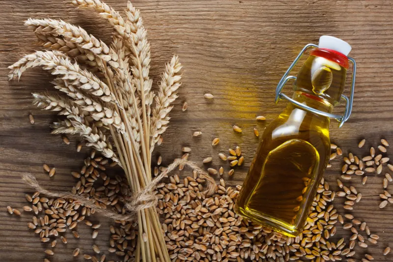 wheat grain and wheat germ oil