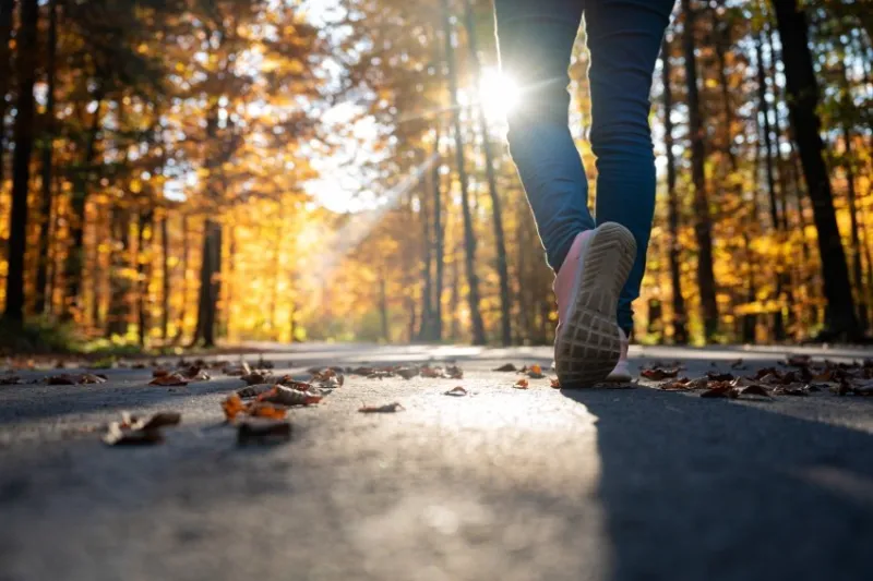 low angle view of a womans step as she walks on a road lined with beautiful colorful autumn trees with sunlight coming through the leaves