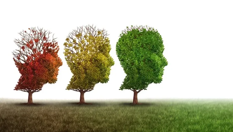 dementia and mental health recovery treatment and alzheimer brain memory disease therapy concept as old trees recovering as a neurology or psychology and psychiatry cure metaphor with 3d illustration elements on a white background