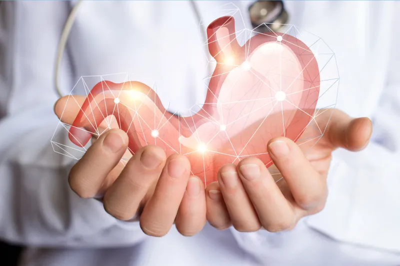 support and care of the human stomach concept design