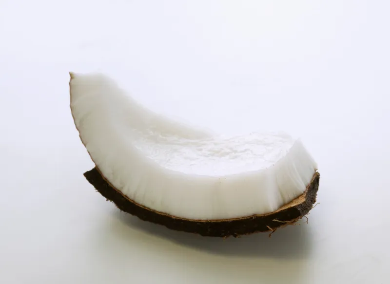 morceau de noix de coco