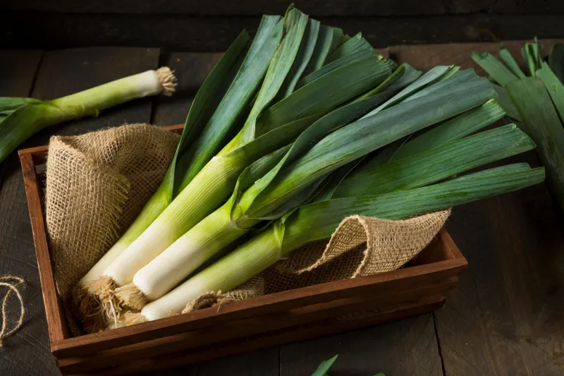 raw green organic leeks ready to chop