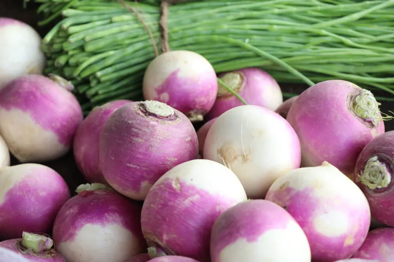 fresh turnip in market