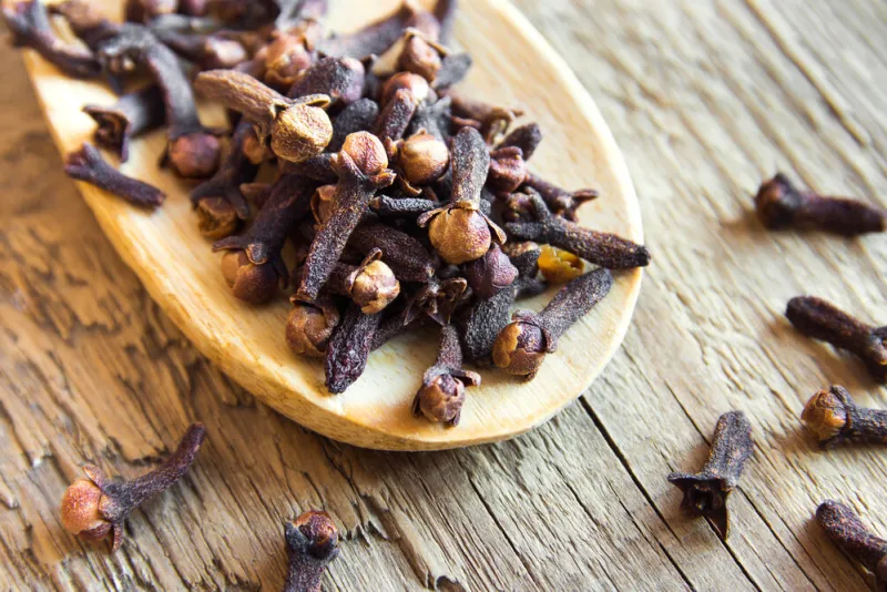 organic cloves (spices) on wooden spoon and rustic background close up
