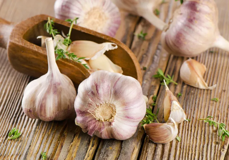 garlic on a wooden board selective focus